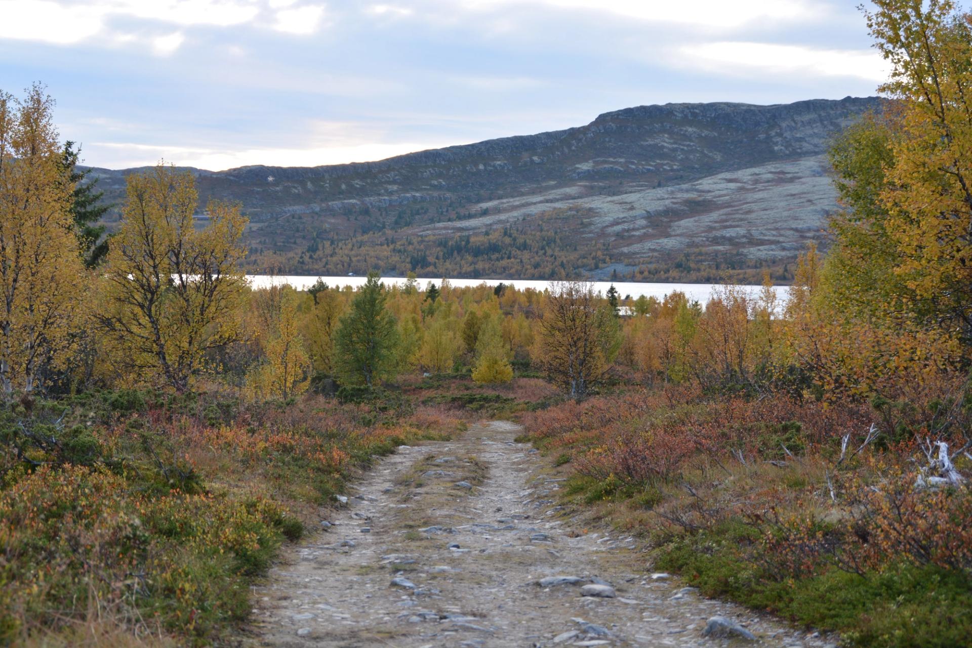 Muen Lodge Venabygdsfjellet, bilde 1