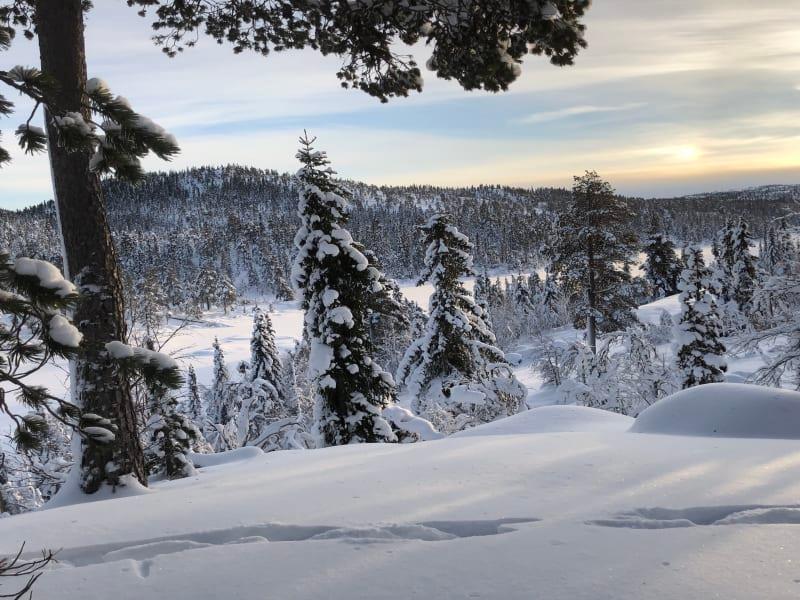 20 meter fra vann på Søtelifjell