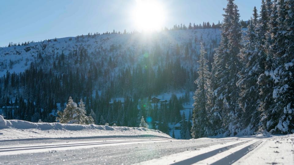 Hestknappen Kvitfjell, bilde 3