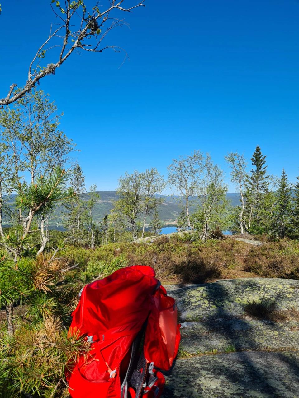 Hurdalslia Hyttegrend, bilde 4