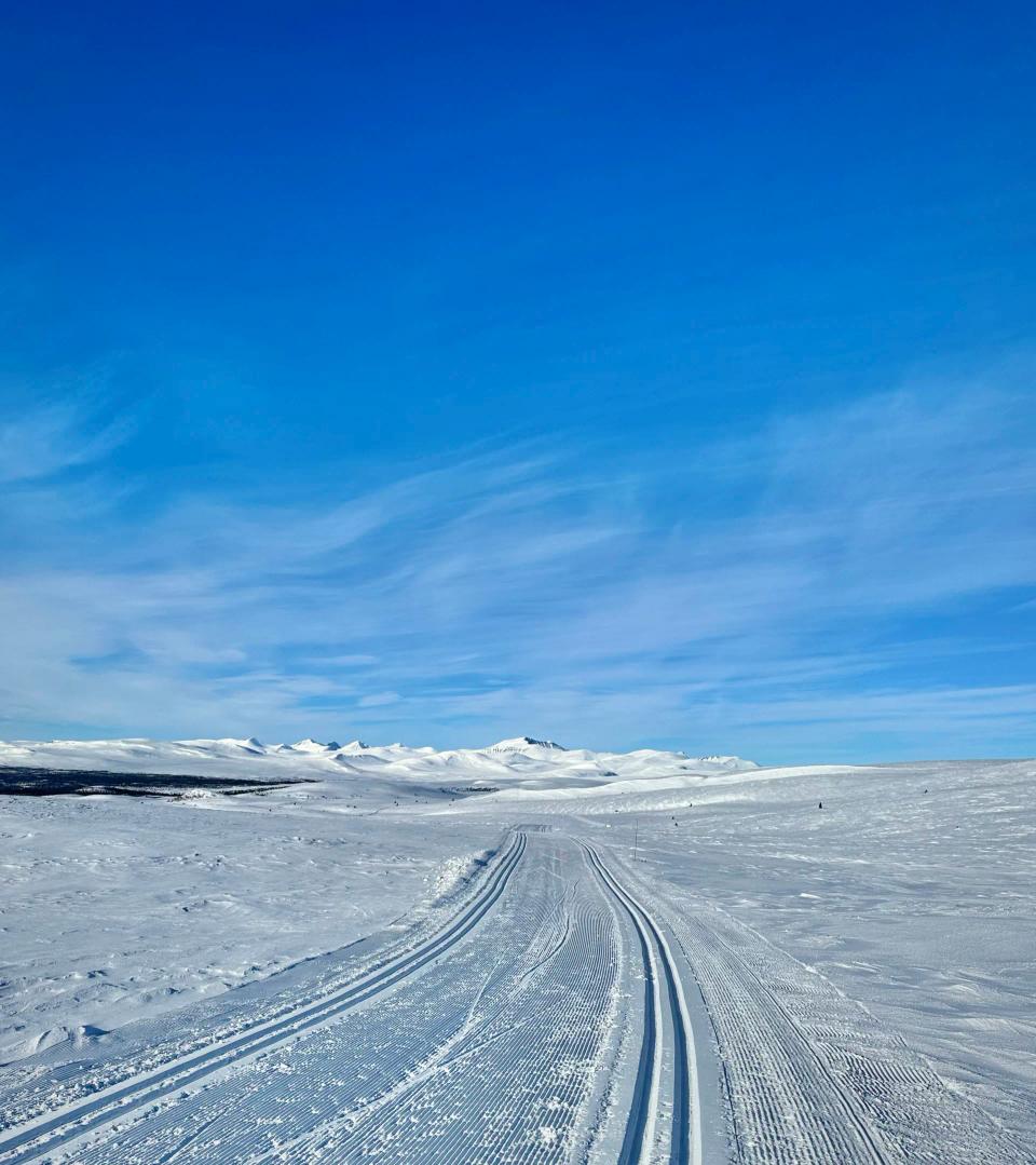 Slåbakkene Venabygdsfjellet, bilde 5