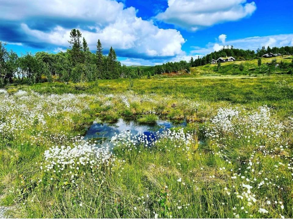 Nystølfjellet, bilde 5