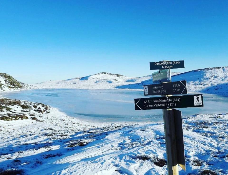Nystølfjellet, bilde 2
