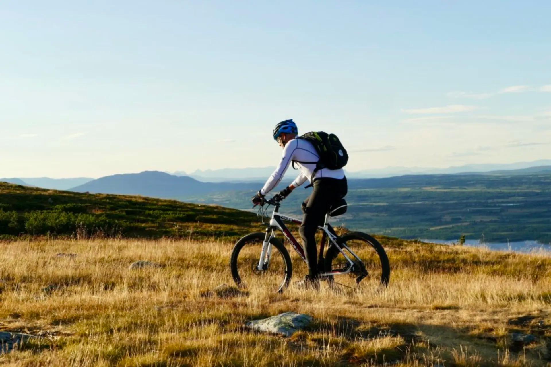 Løggelie Golsfjellet, bilde 1