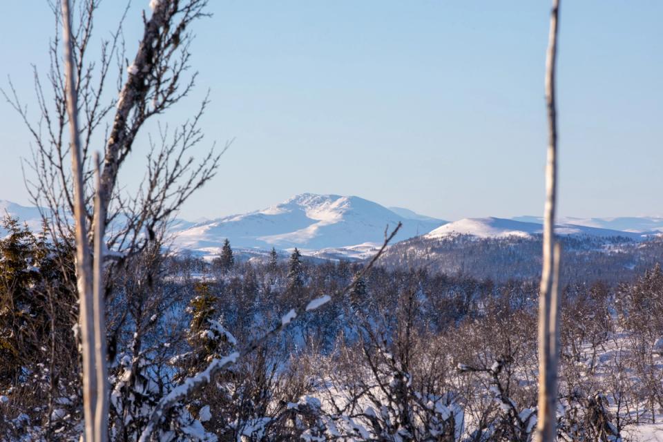 Ølsjølitoppen i Valdres, bilde 5
