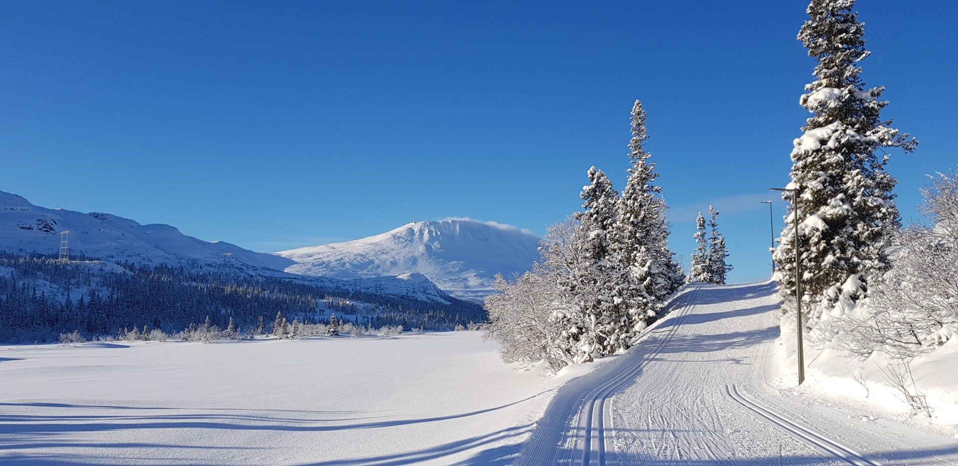 Diple Kollen Gausta, bilde 3