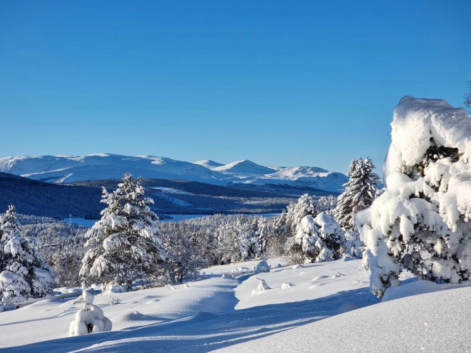 Bringsfjellet Panorama, bilde 3