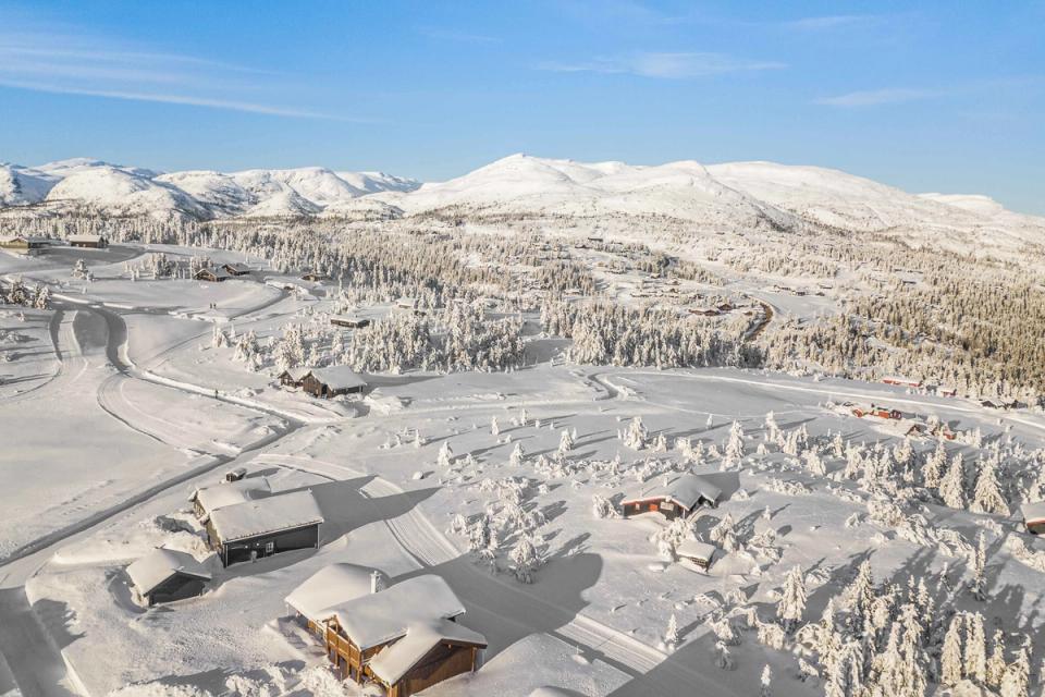 Lifjell Hyttegrend, bilde 5