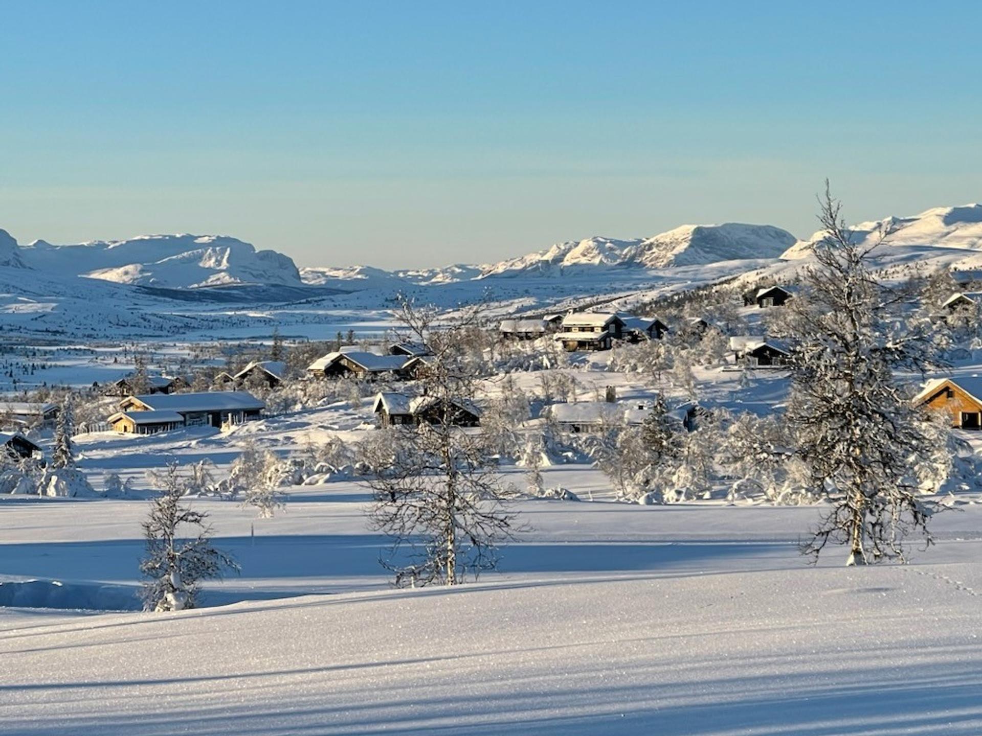 Brakastølen i Vaset, bilde 1