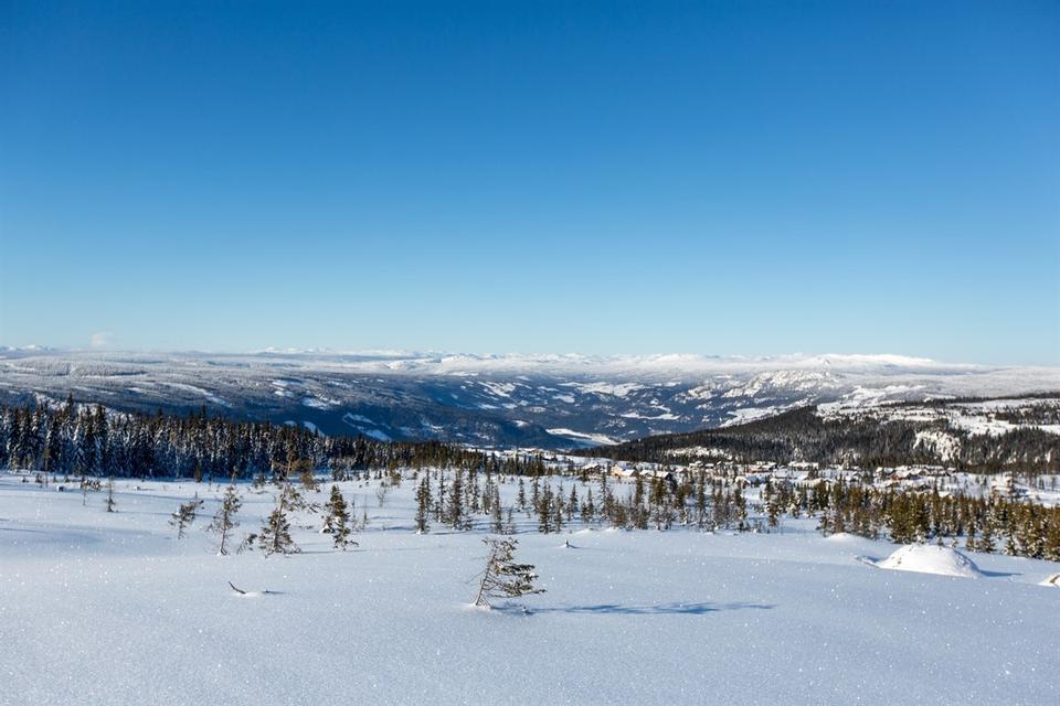 Sæterberget Lisetra, bilde 5