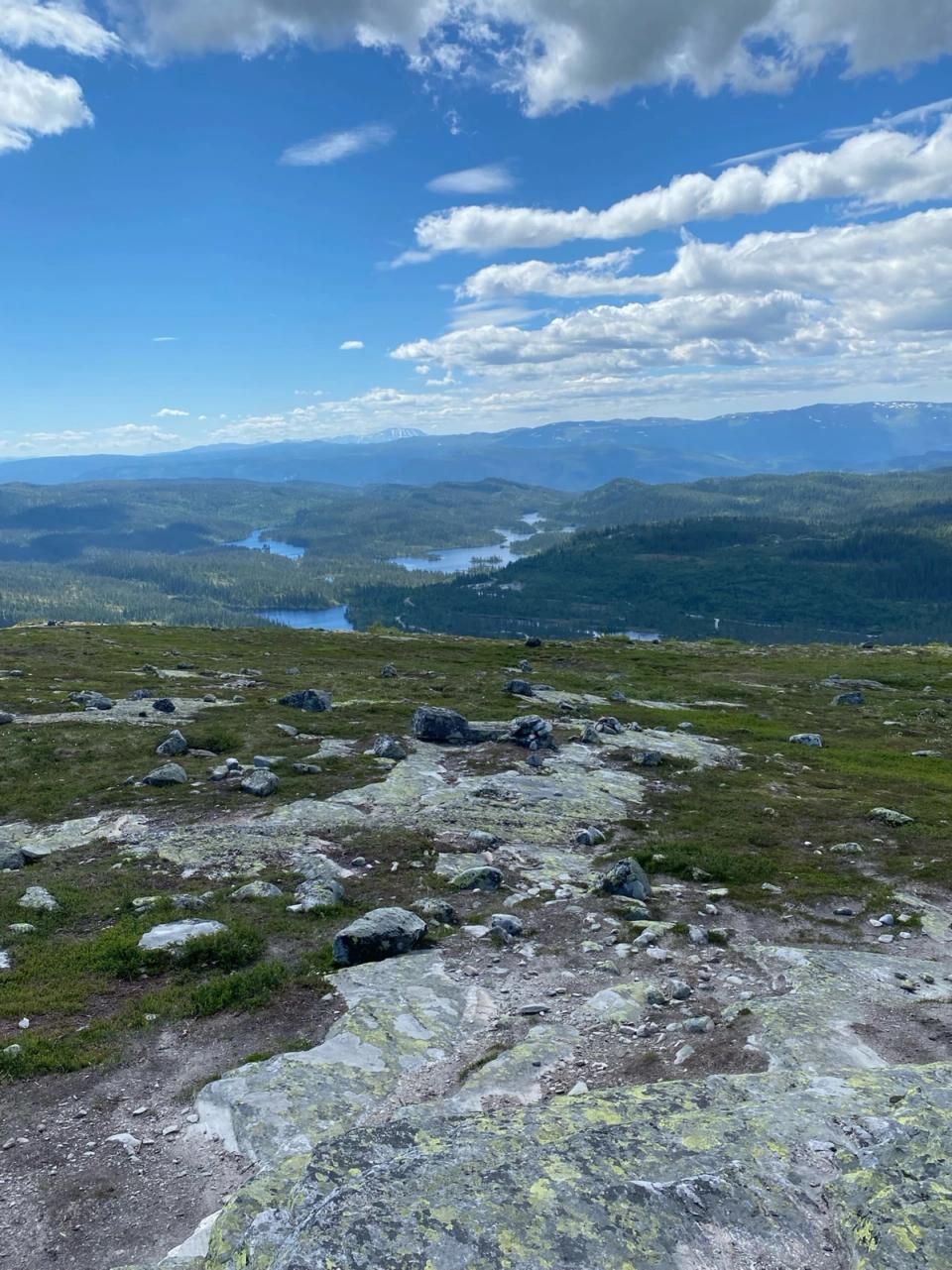 Søtelifjell Hyttegrend, bilde 3