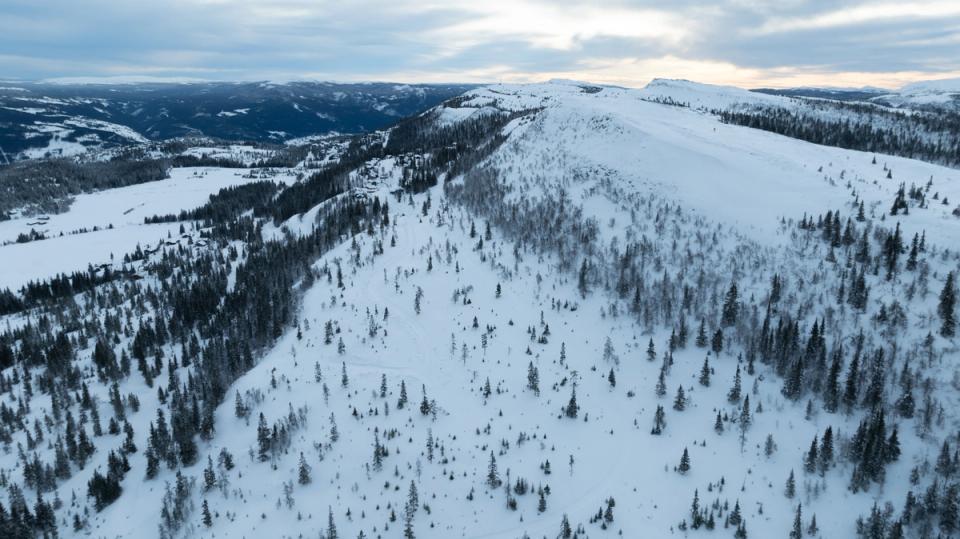 Hestknappen Kvitfjell, bilde 5