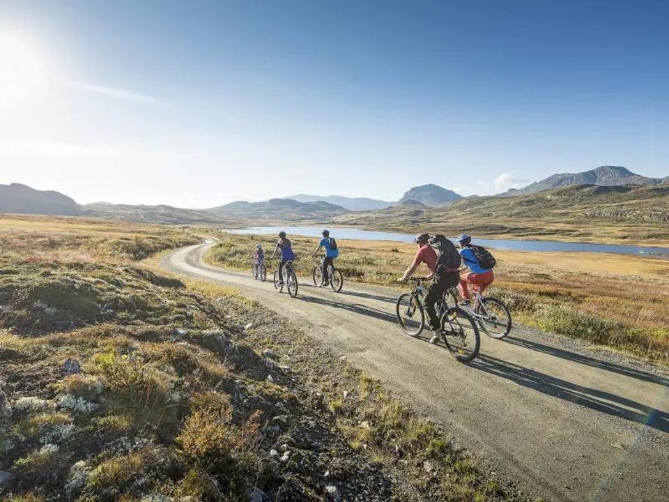 Langtjedn Hyttegrend, bilde 2