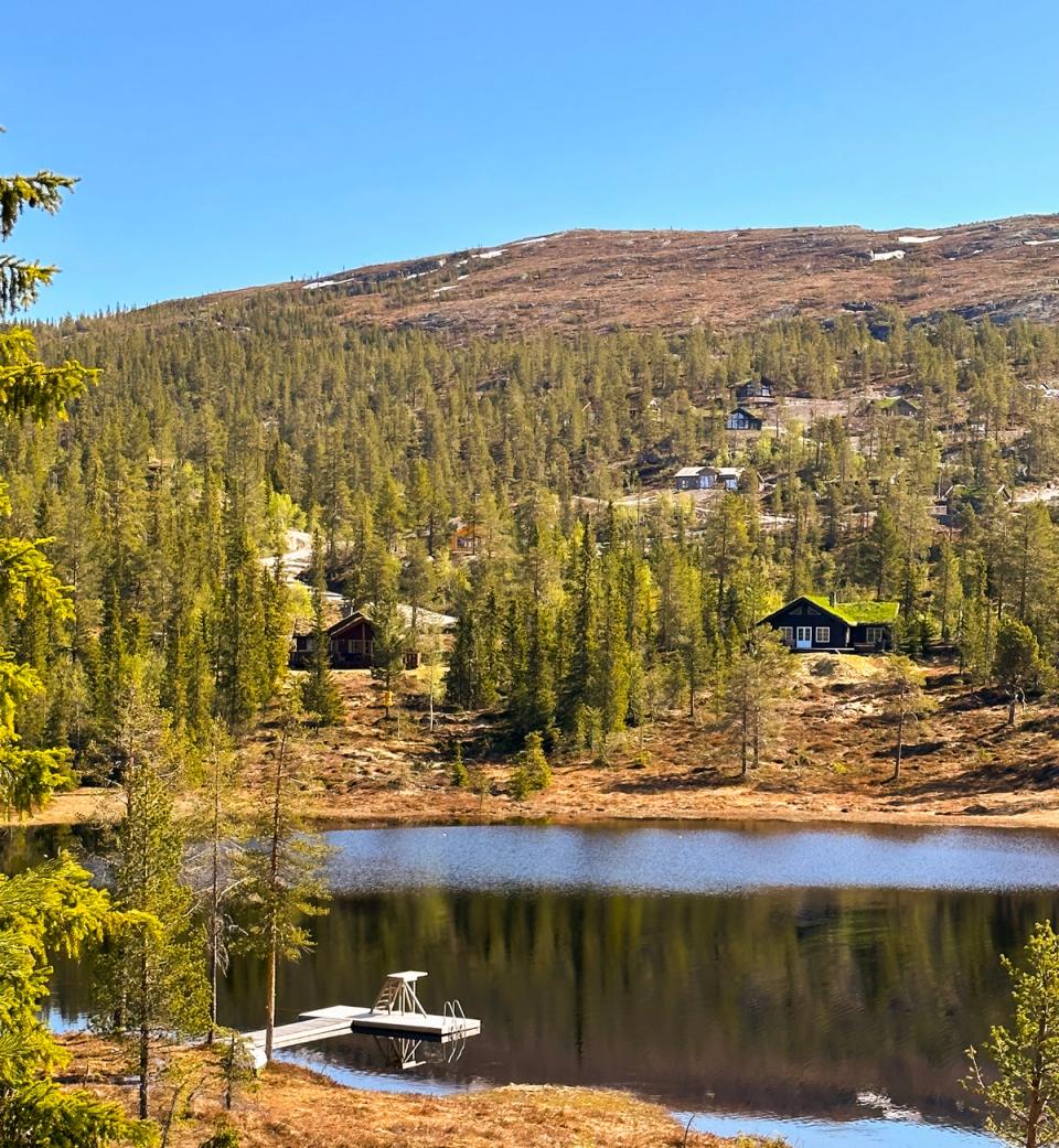 Søtelifjell Hyttegrend, bilde 2