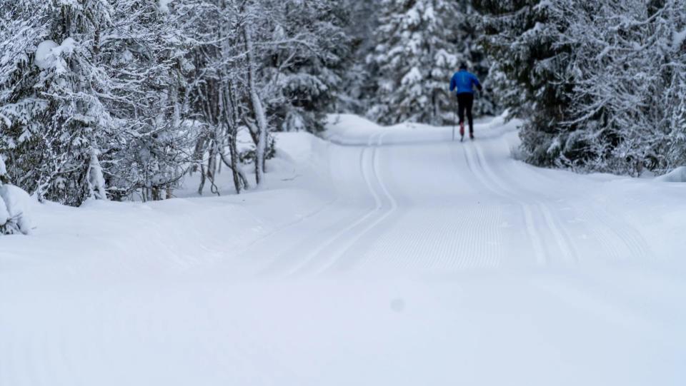 Hestknappen Kvitfjell, bilde 4