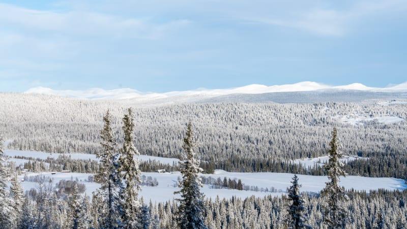 Hestknappen Kvitfjell
