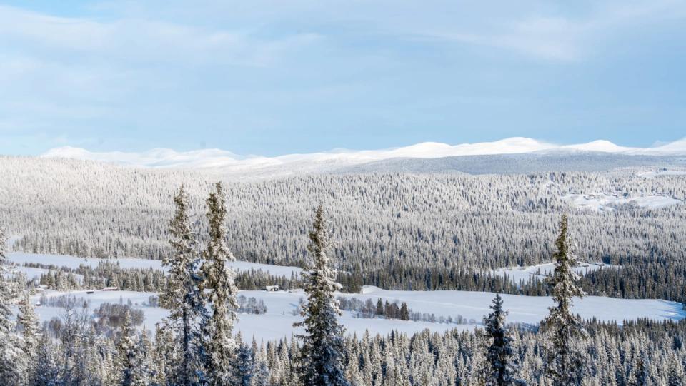 Hestknappen Kvitfjell, bilde 2