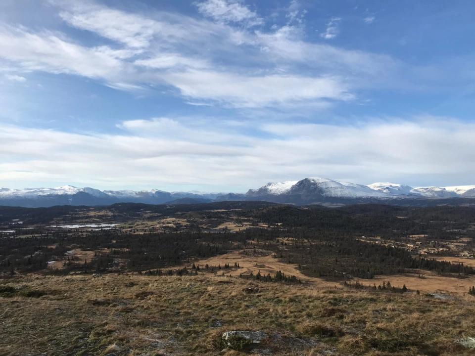 Løggelie Golsfjellet, bilde 2