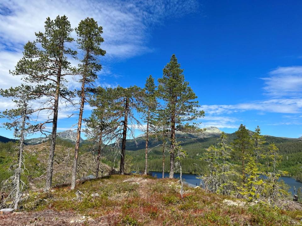 Fikstjønn II Tuddal, bilde 2