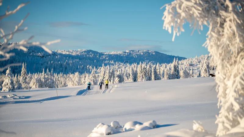 Kjoslia Arena Skeikampen