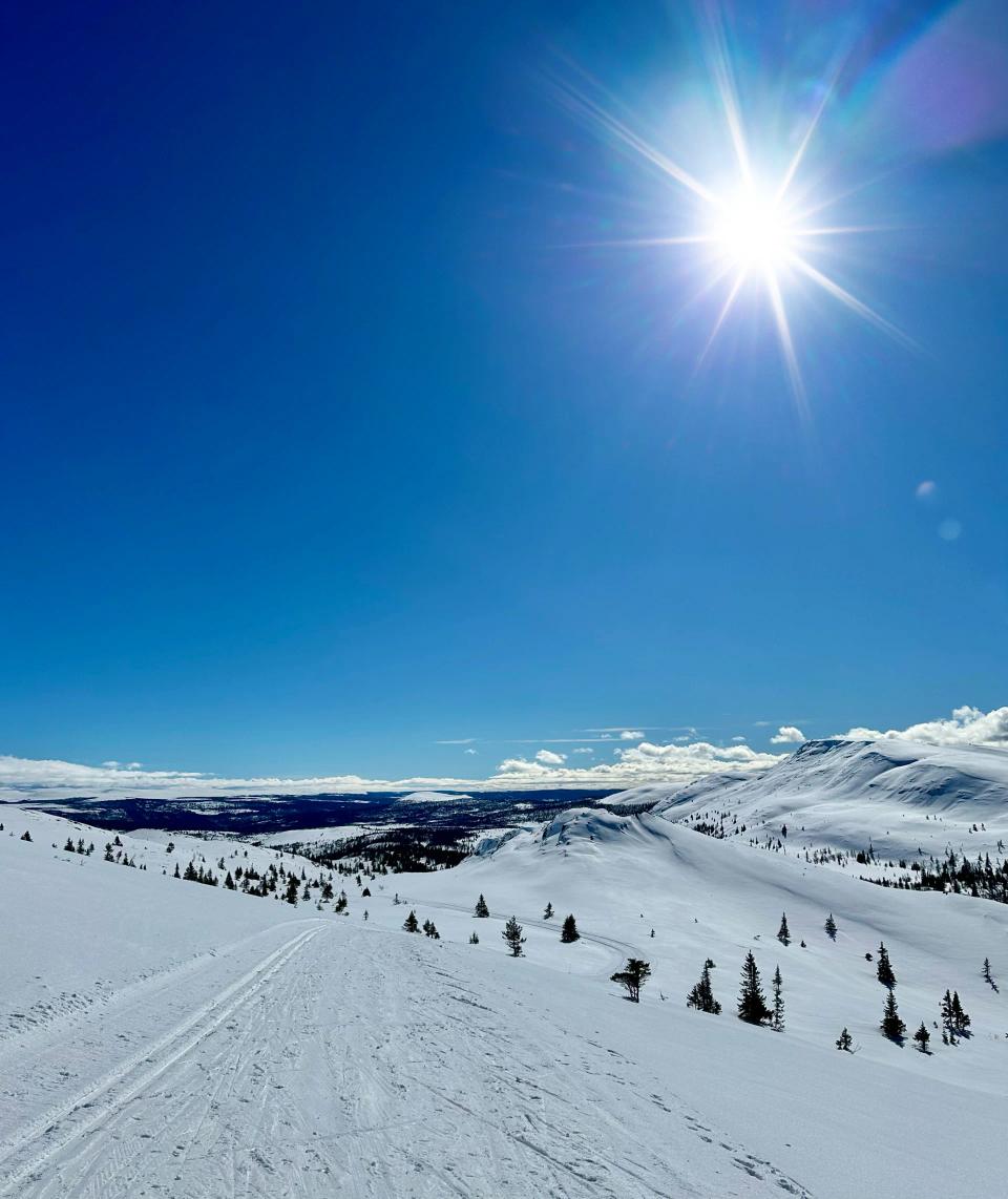 Slåbakkene Venabygdsfjellet, bilde 4