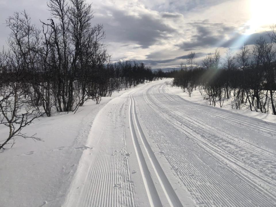 Borren, Holtålen, bilde 2