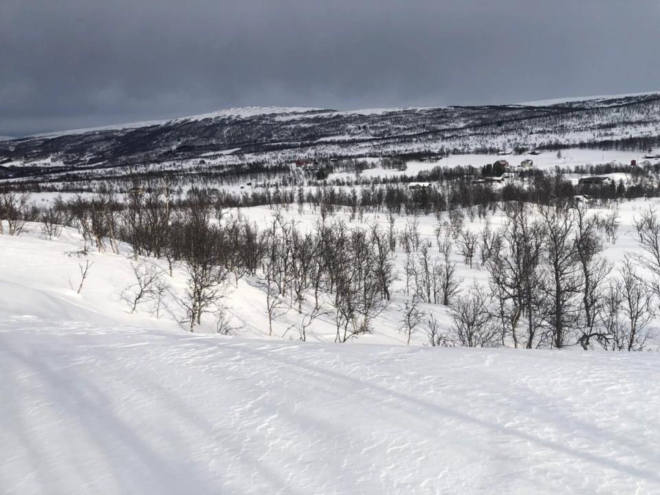 Borren, Holtålen, bilde 3