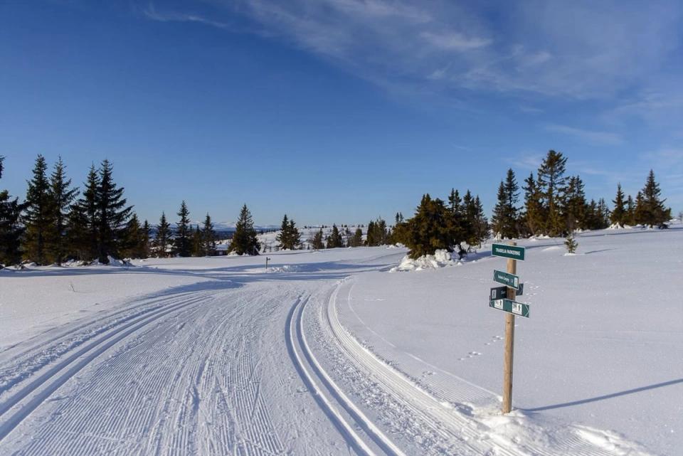 Slåbakkene Venabygdsfjellet, bilde 3
