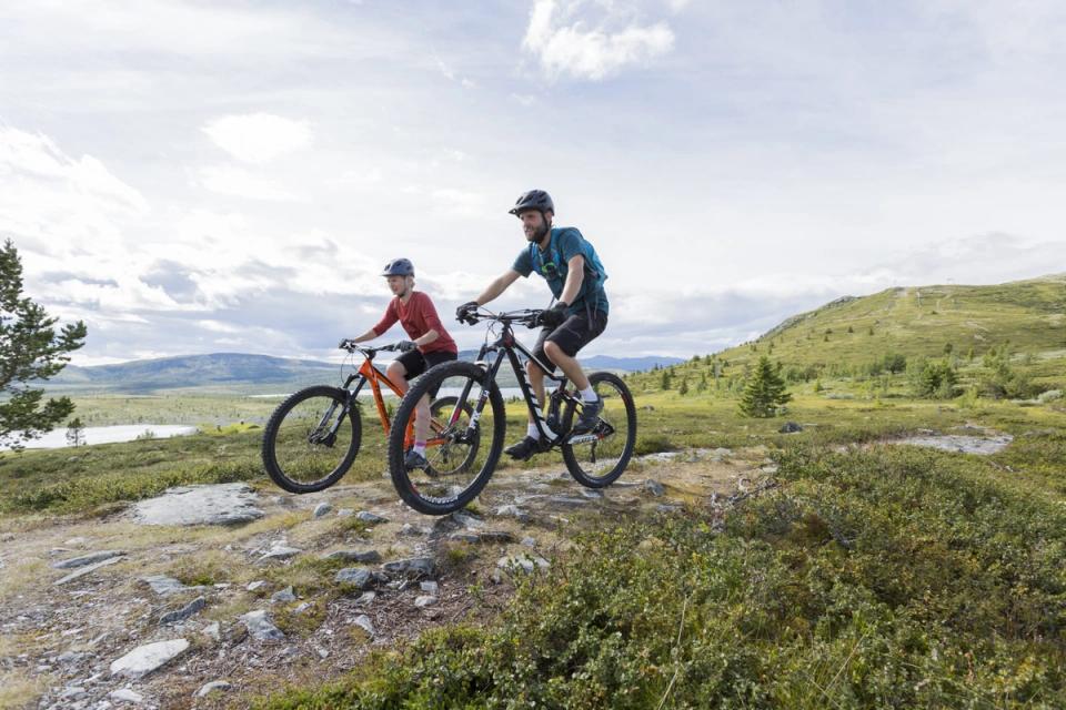 Muen Lodge Venabygdsfjellet, bilde 3