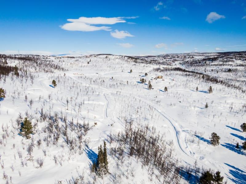 Kikut Geilo