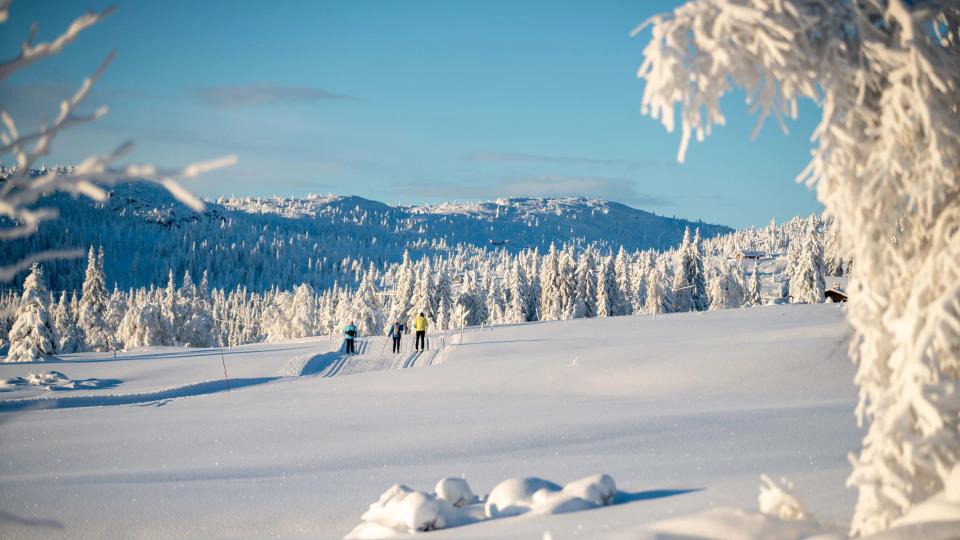 Kjoslia Arena Skeikampen, bilde 2