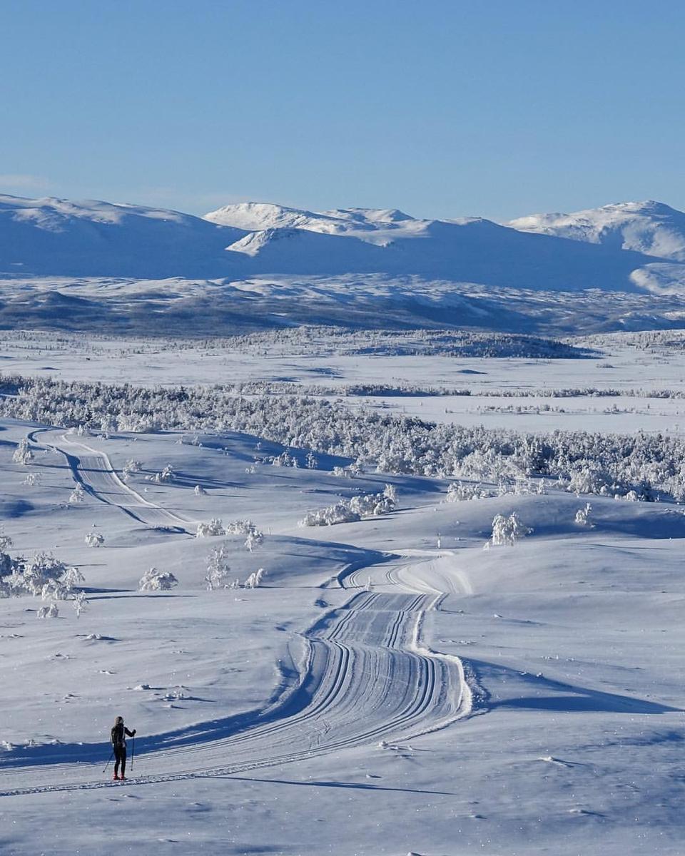 Brakastølen i Vaset, bilde 4