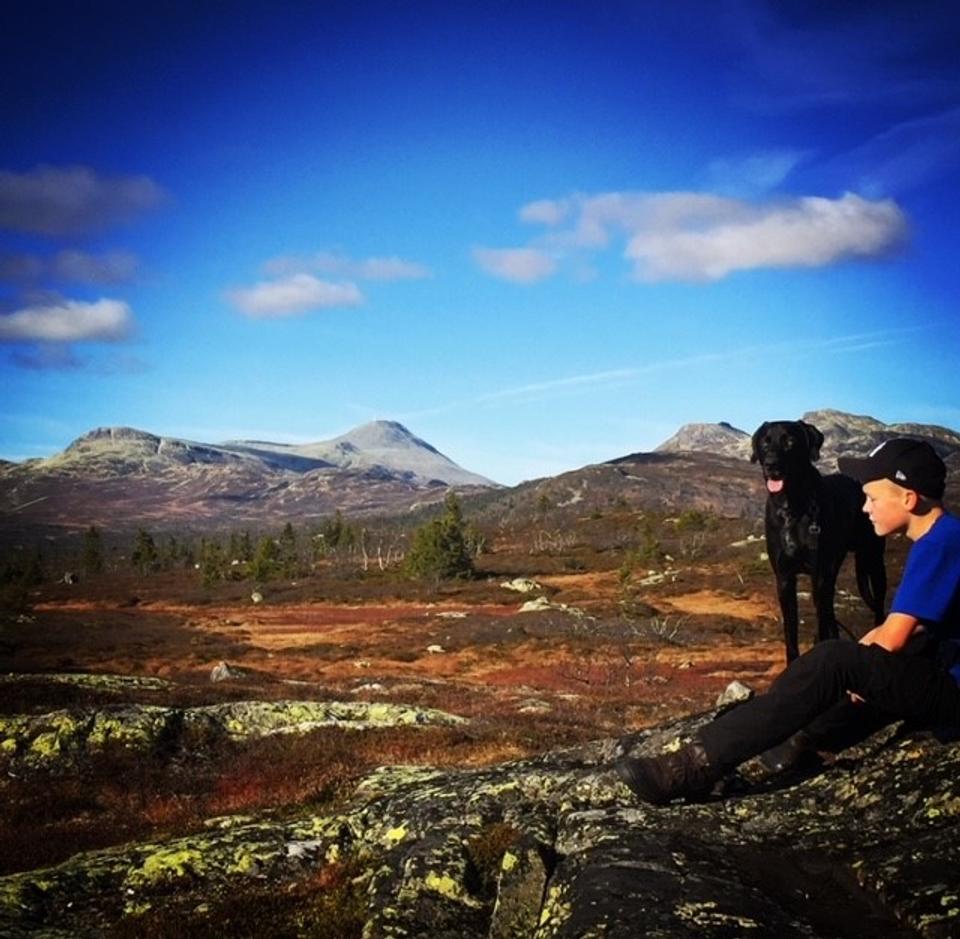 Langetjønn Tuddal, bilde 3