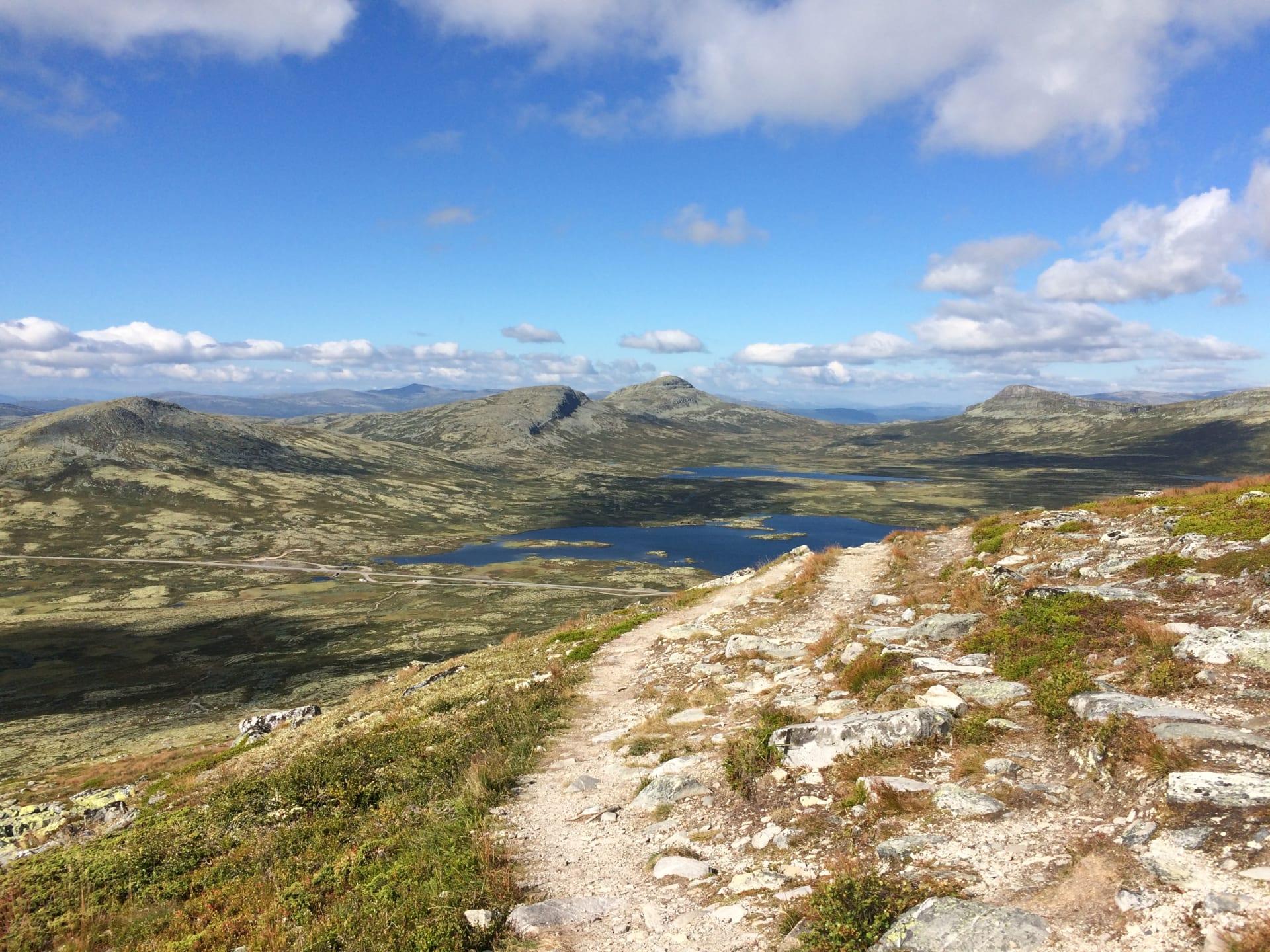 Slåbakkene Venabygdsfjellet, bilde 1