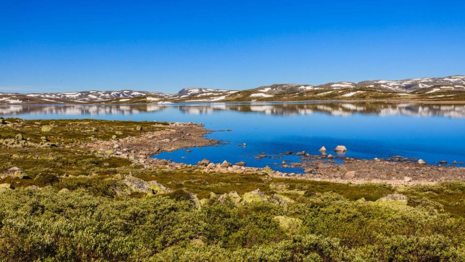 Kikut Geilo, bilde 4