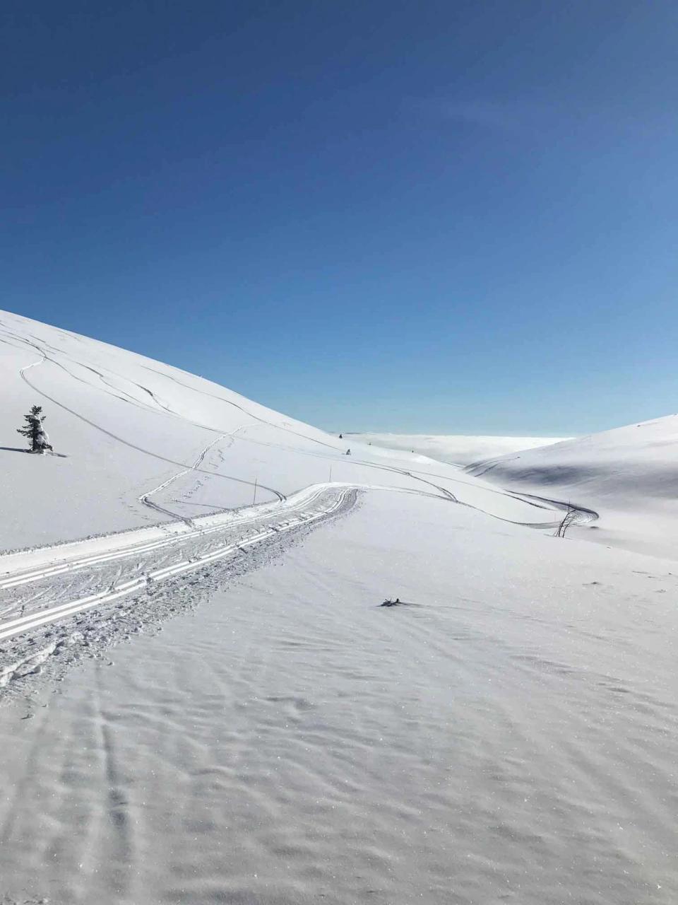 Trysil Knut Panorama, bilde 4