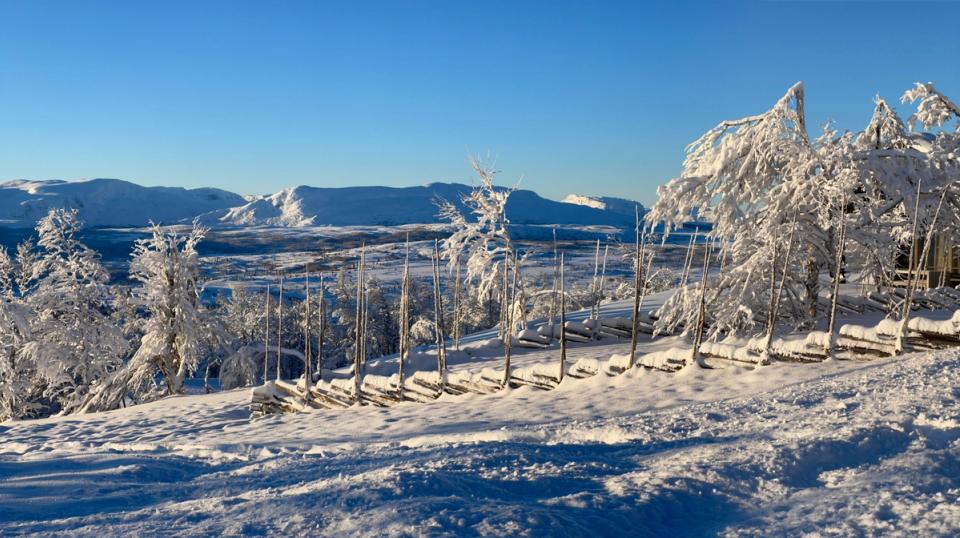 Brakastølen i Vaset, bilde 2