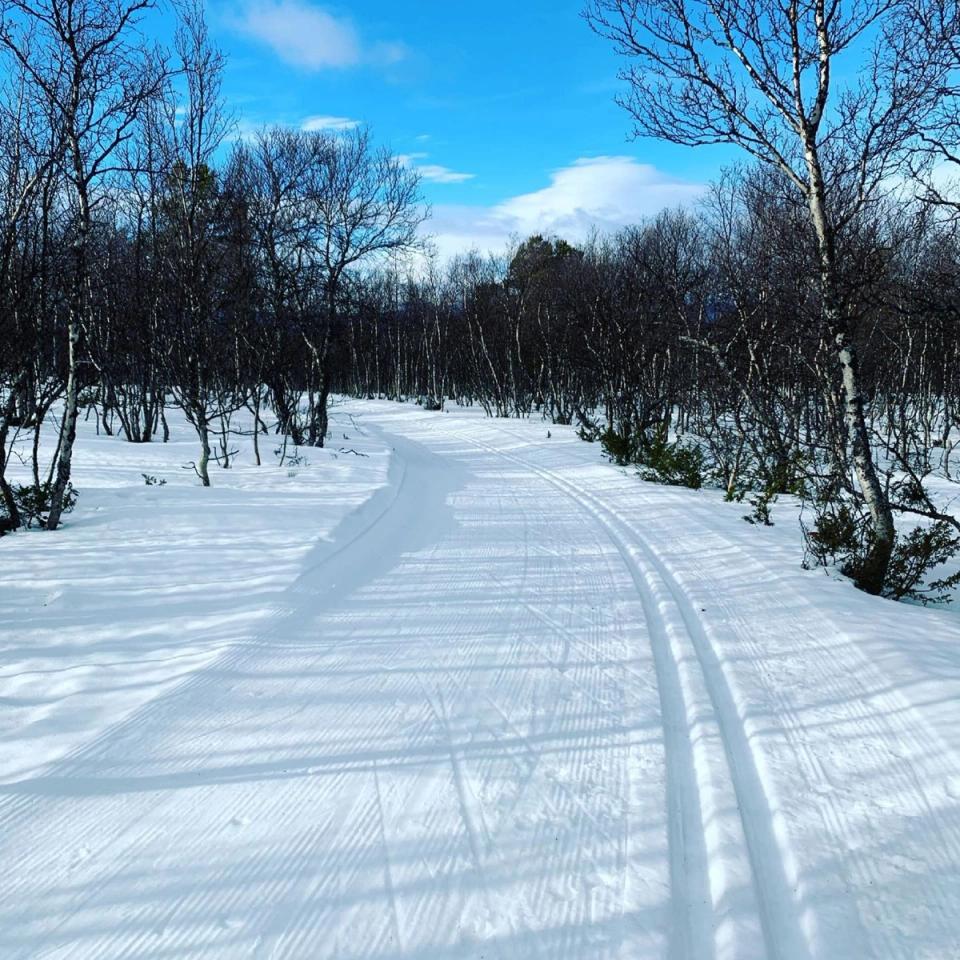 Dombås Hyttepark, bilde 4