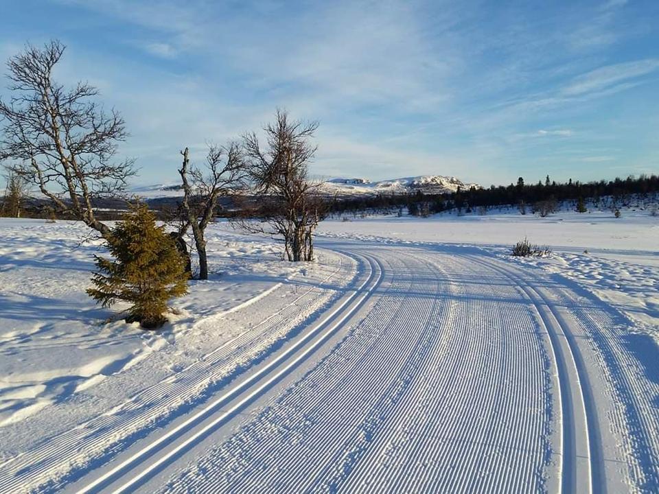 Ølsjølitoppen i Valdres, bilde 3