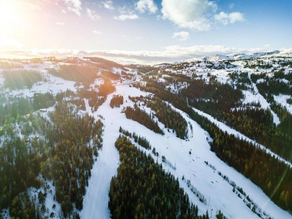 Lifjell Hyttegrend, bilde 3