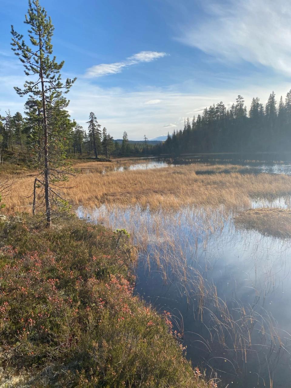 Søtelifjell Hyttegrend, bilde 2