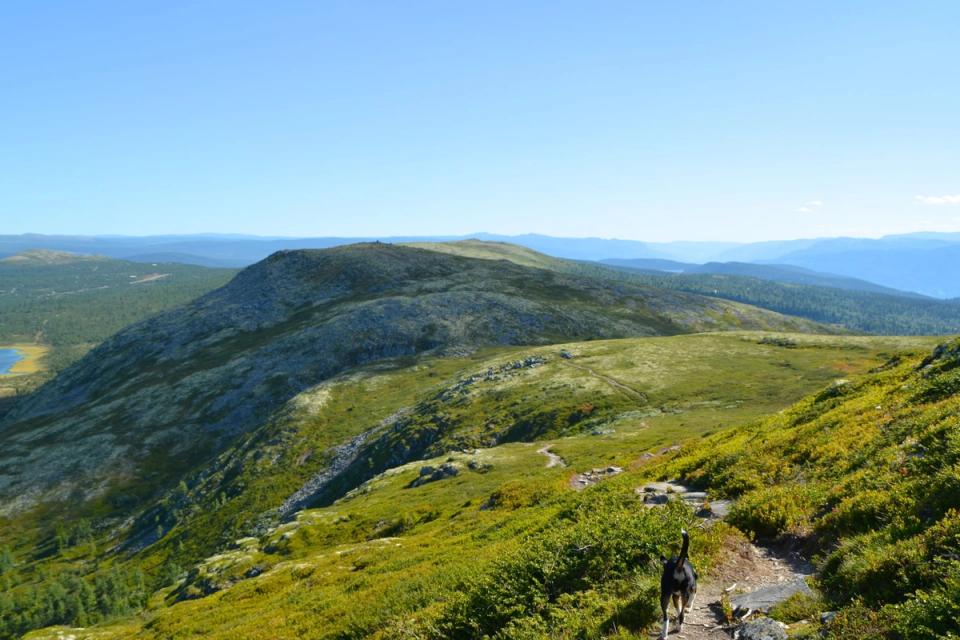 Muen Lodge Venabygdsfjellet, bilde 2