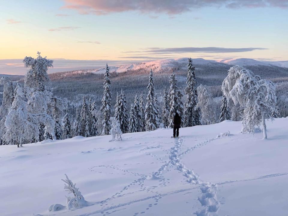 Trysil Knut Panorama, bilde 3