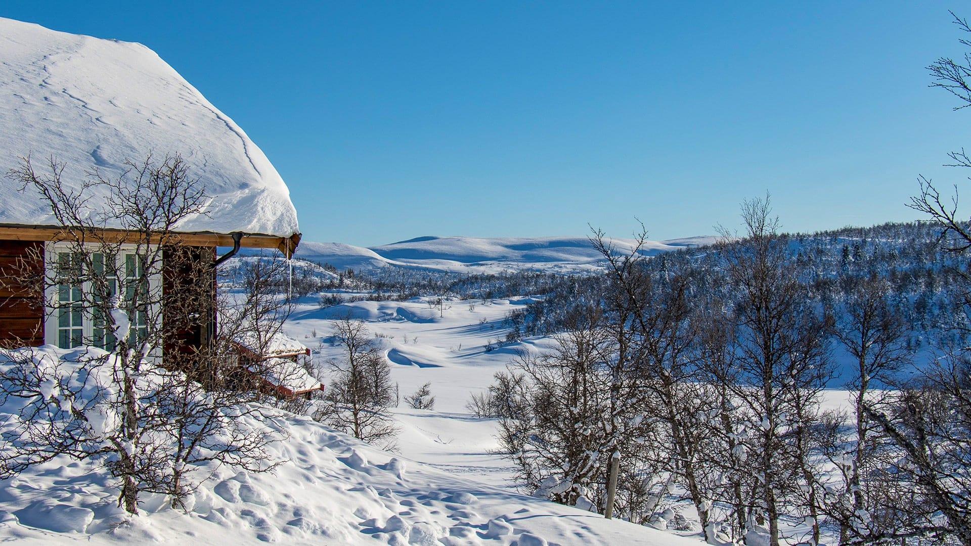 Ølsjølitoppen i Valdres, bilde 1