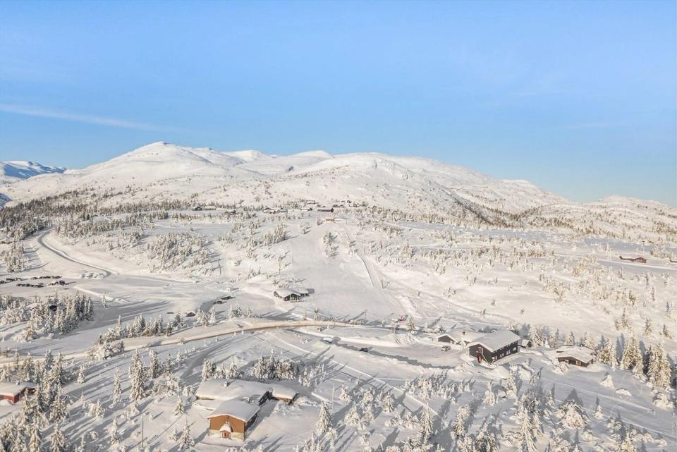 Lifjell Hyttegrend, bilde 4