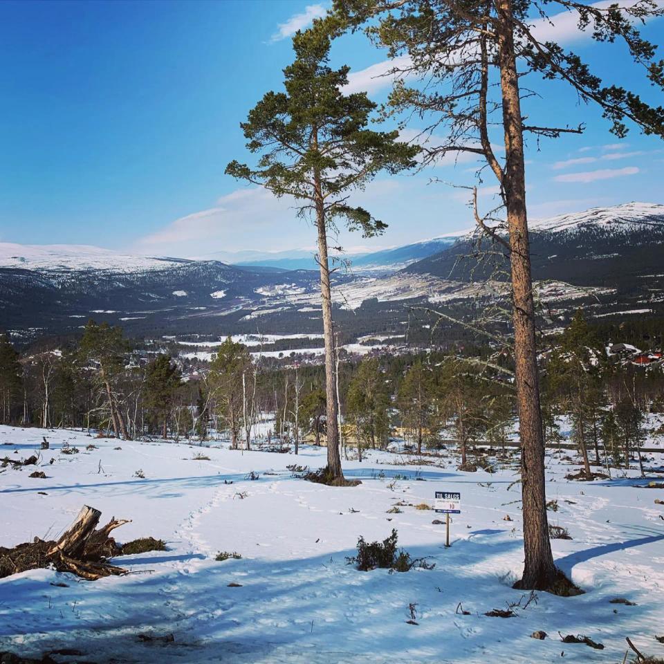 Dombås Hyttepark, bilde 3