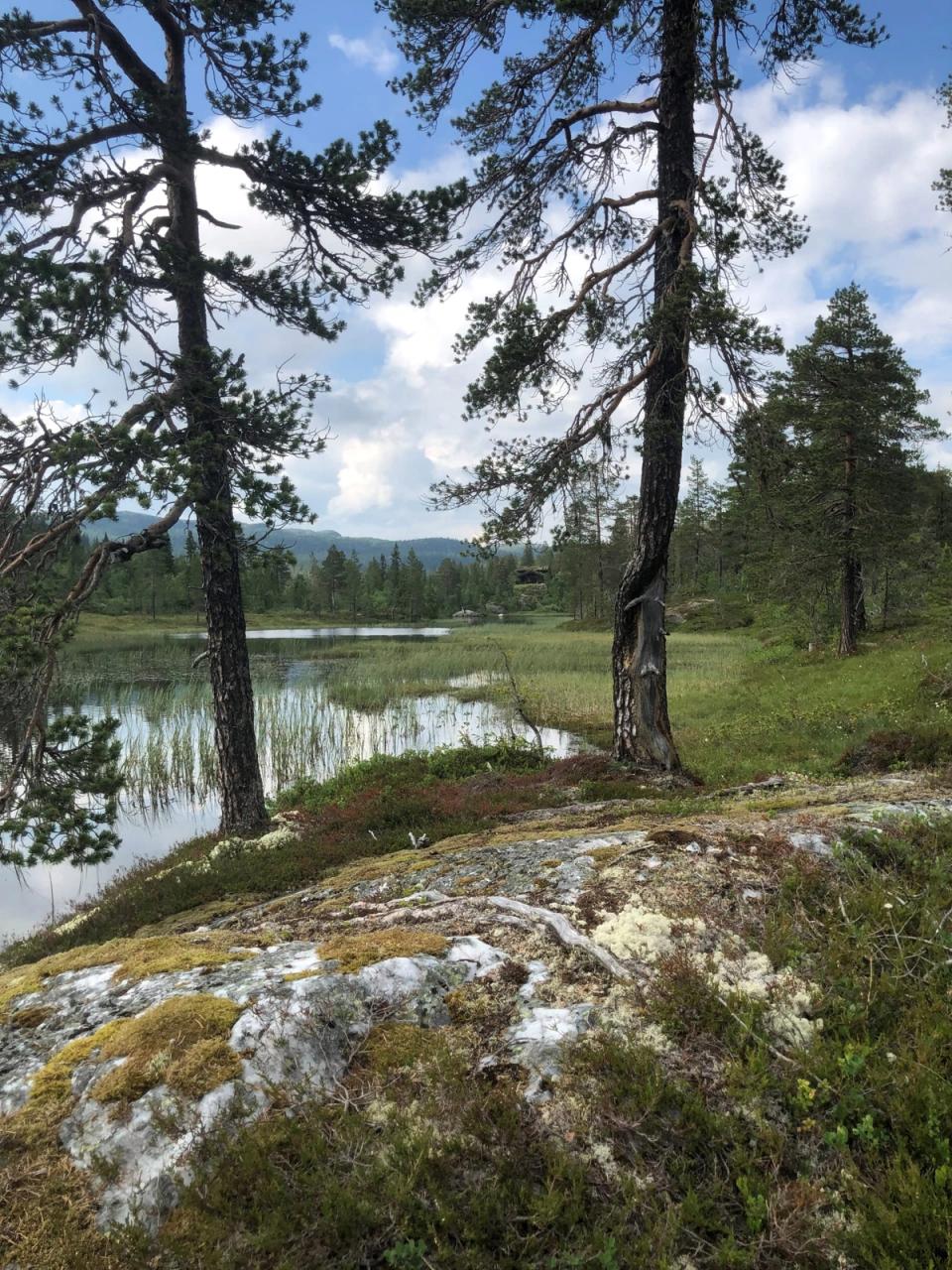20 meter fra vann på Søtelifjell, bilde 4