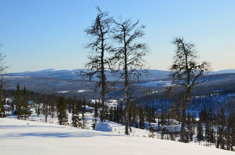 Trysil Knut Panorama