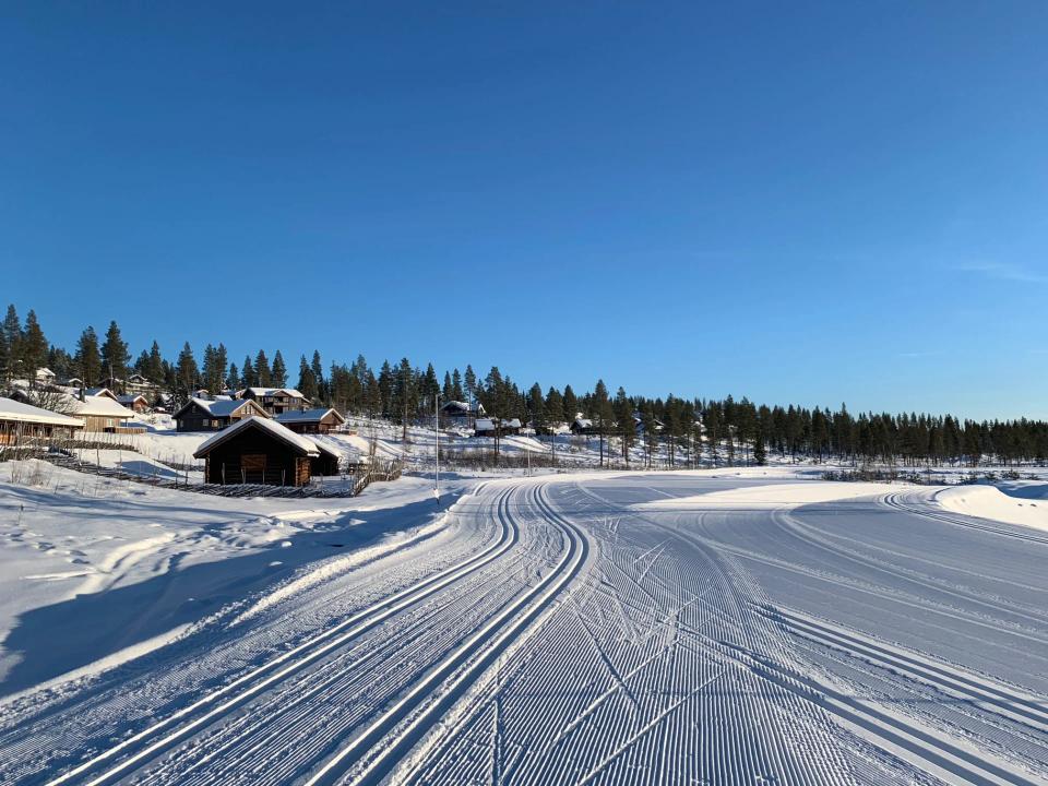 Furutangen, bilde 4