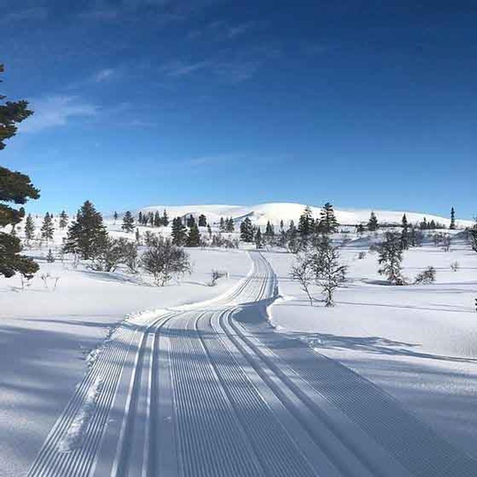 Trysil Knut Panorama, bilde 5